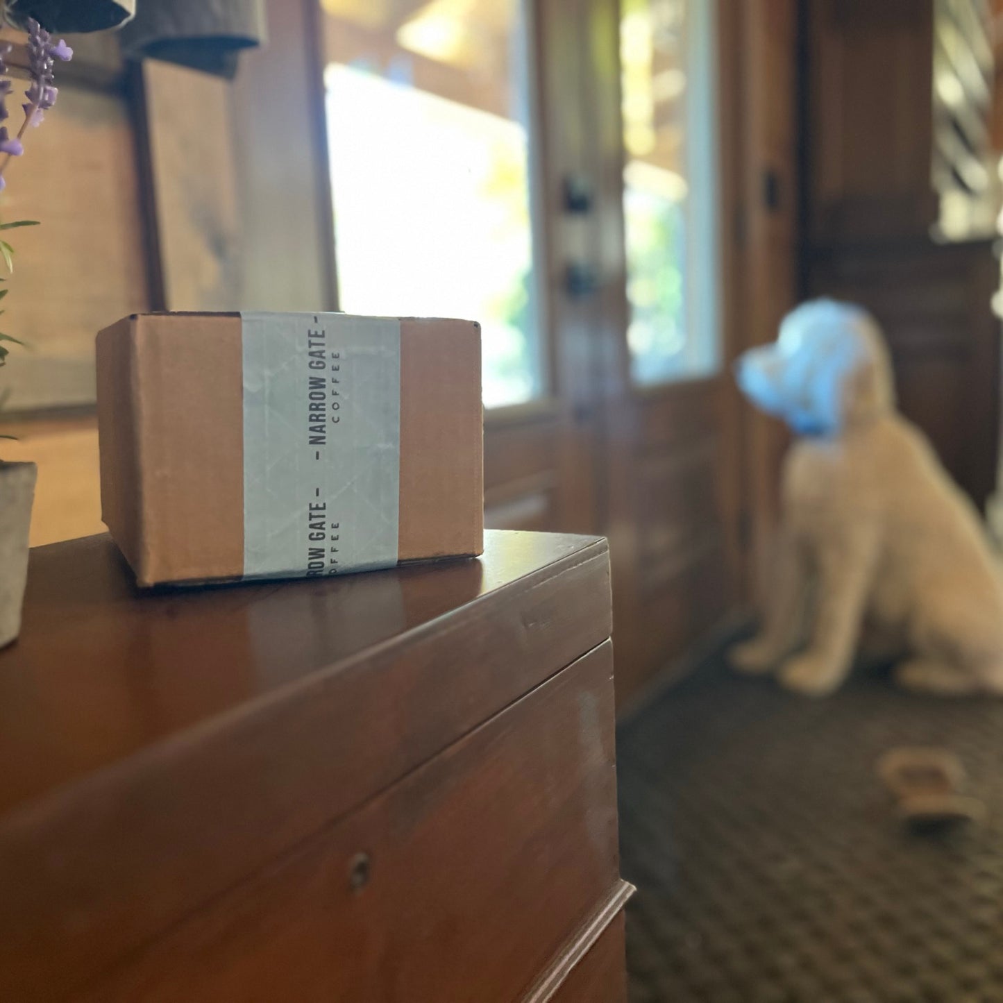 Coffee Subscription Gift