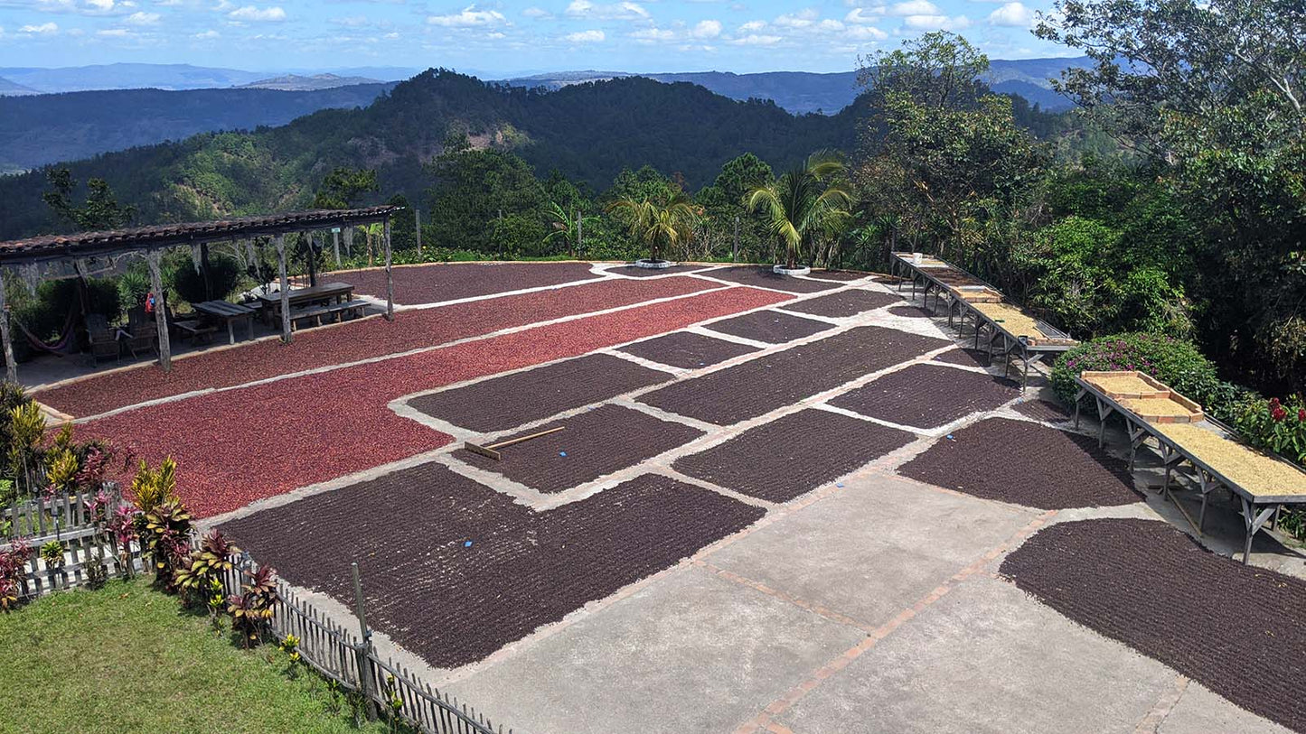 Honduras San Lazaro