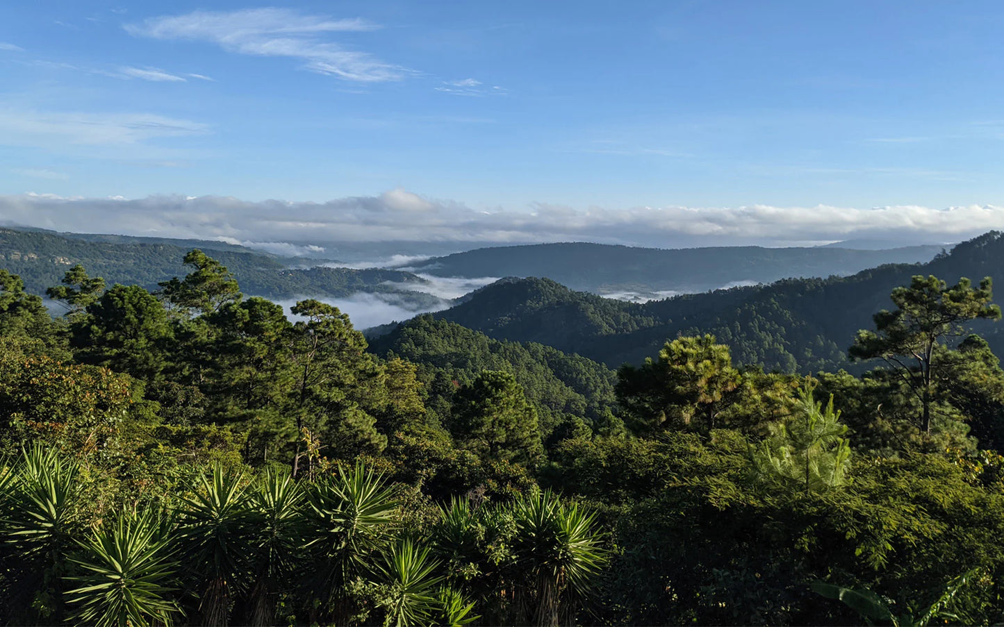 Honduras San Lazaro