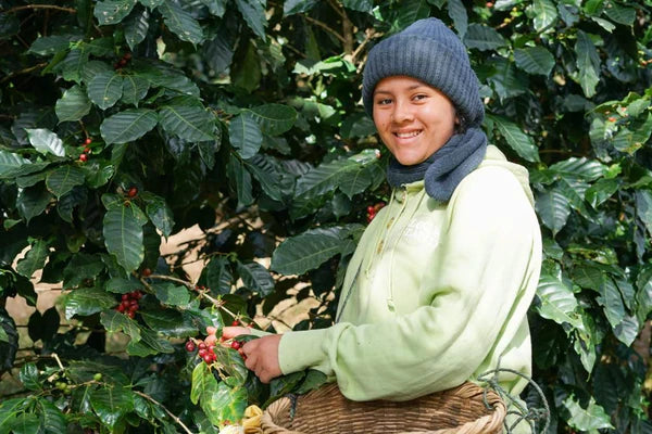 Honduras San Lazaro